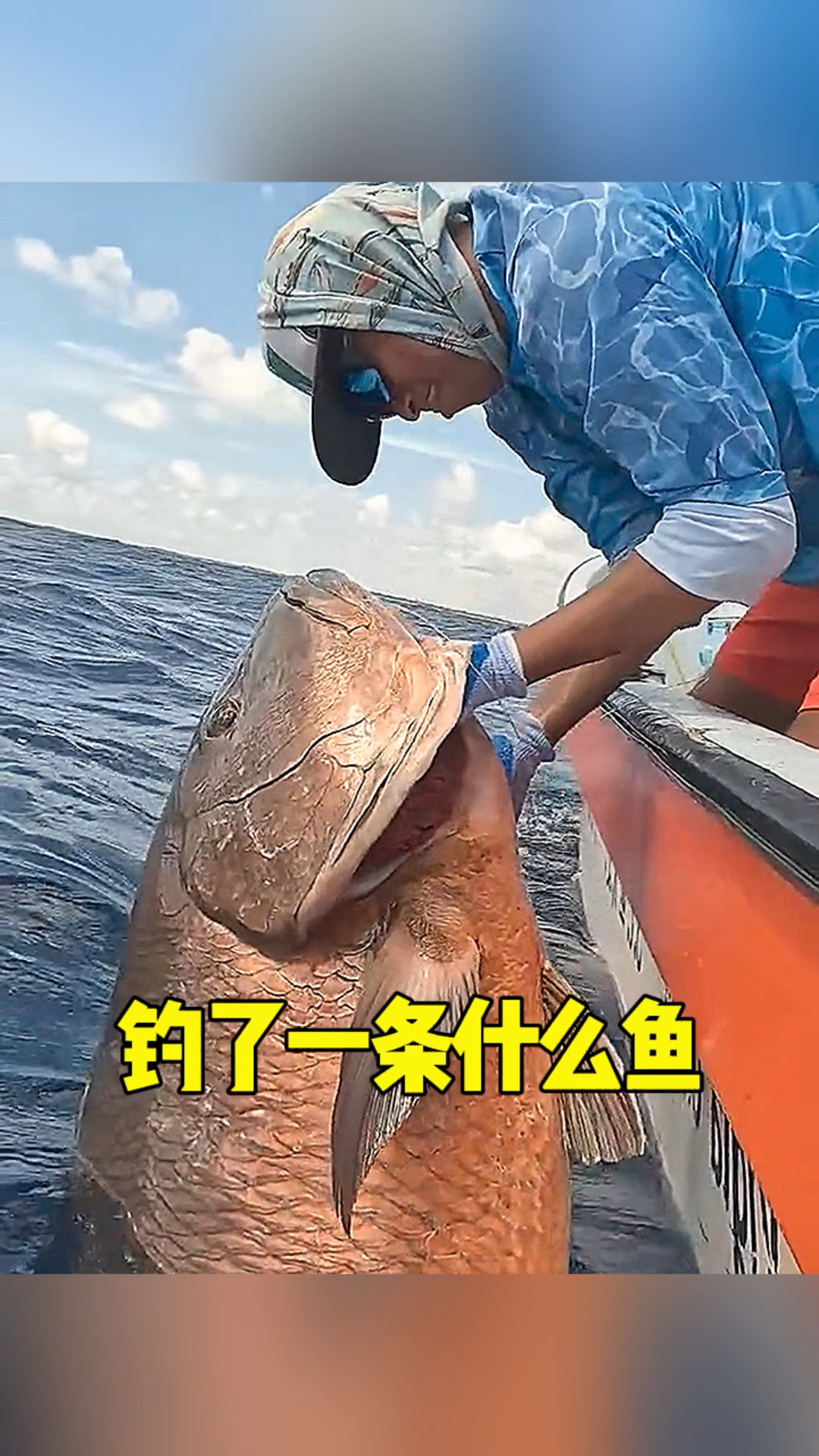 还是大海里面的鱼大