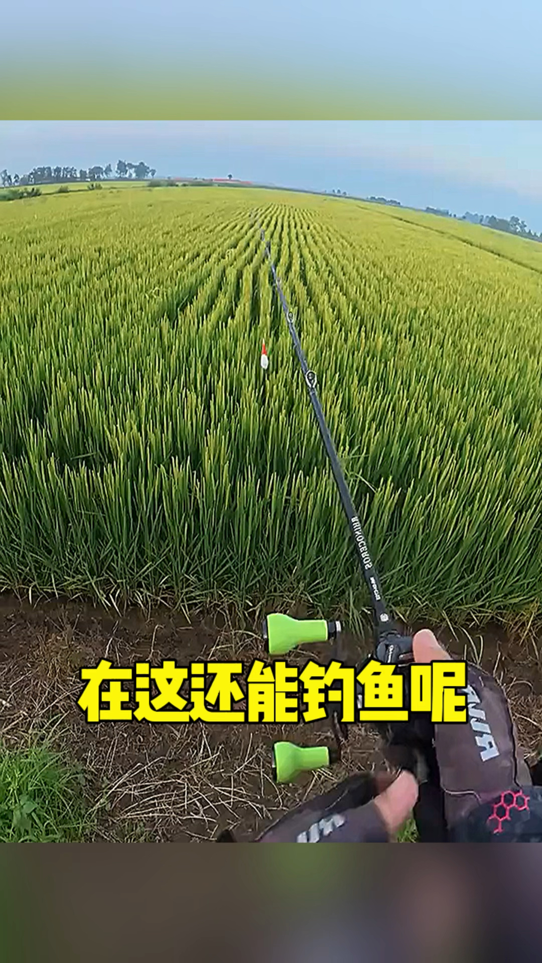 真不愧是钓鱼佬呀