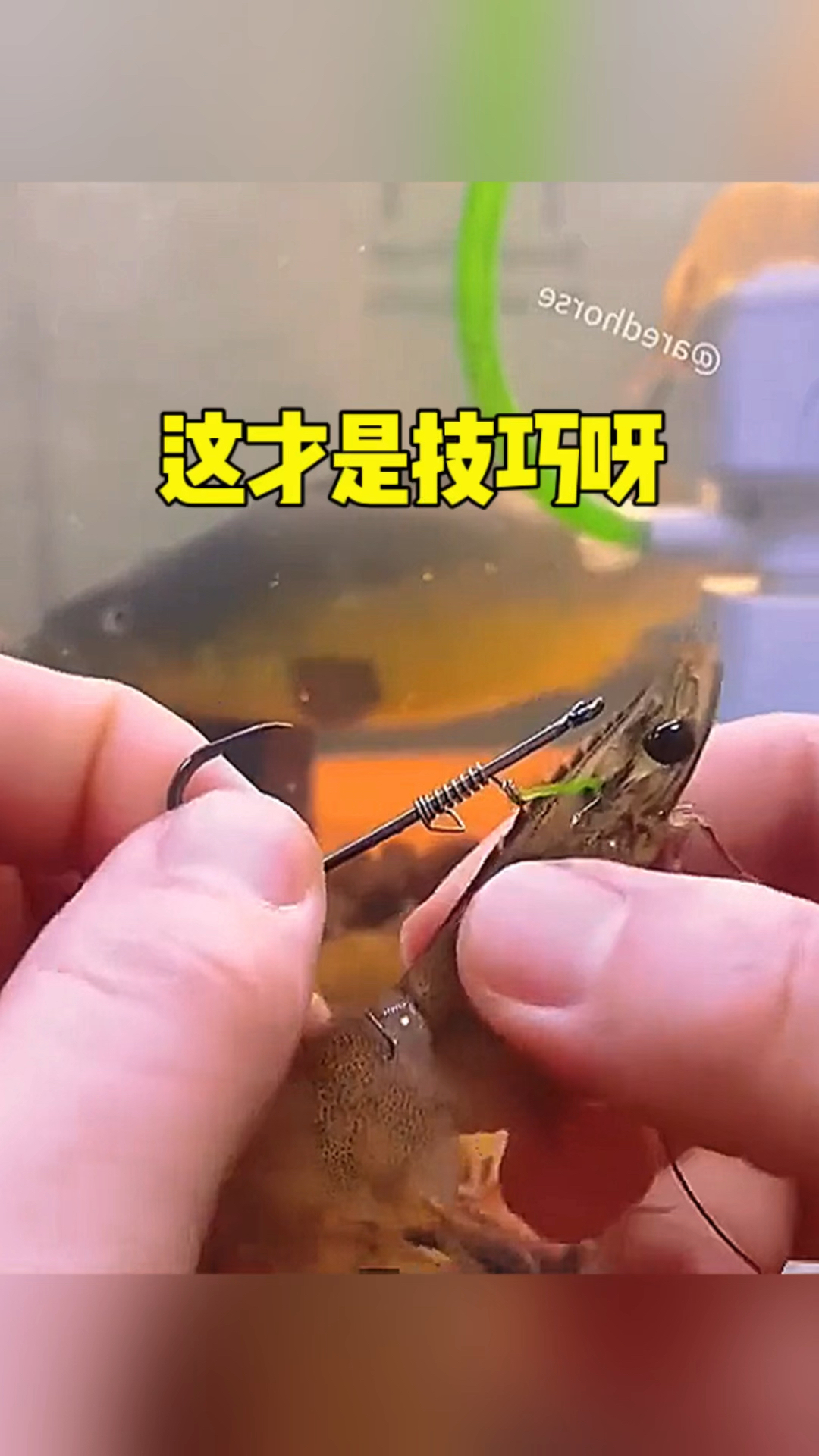 一看这就是真正的钓鱼佬