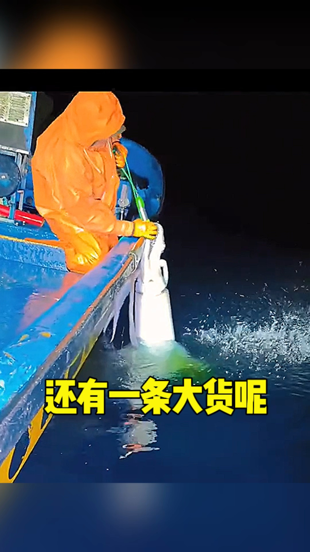 这条鱿鱼也太大了吧