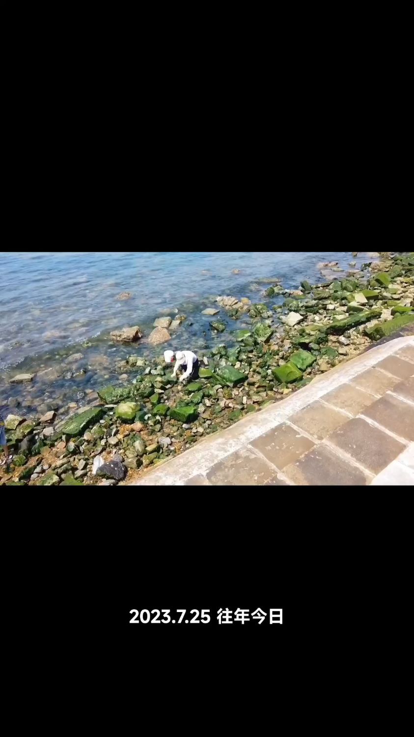 大连这个浴场口碑不错。面积大风景好。搭帐篷钓鱼赶海好地方