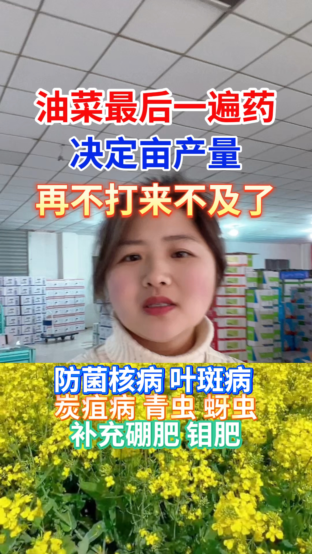 油菜最后一遍药决定亩产量,再不打可就真的来不及了