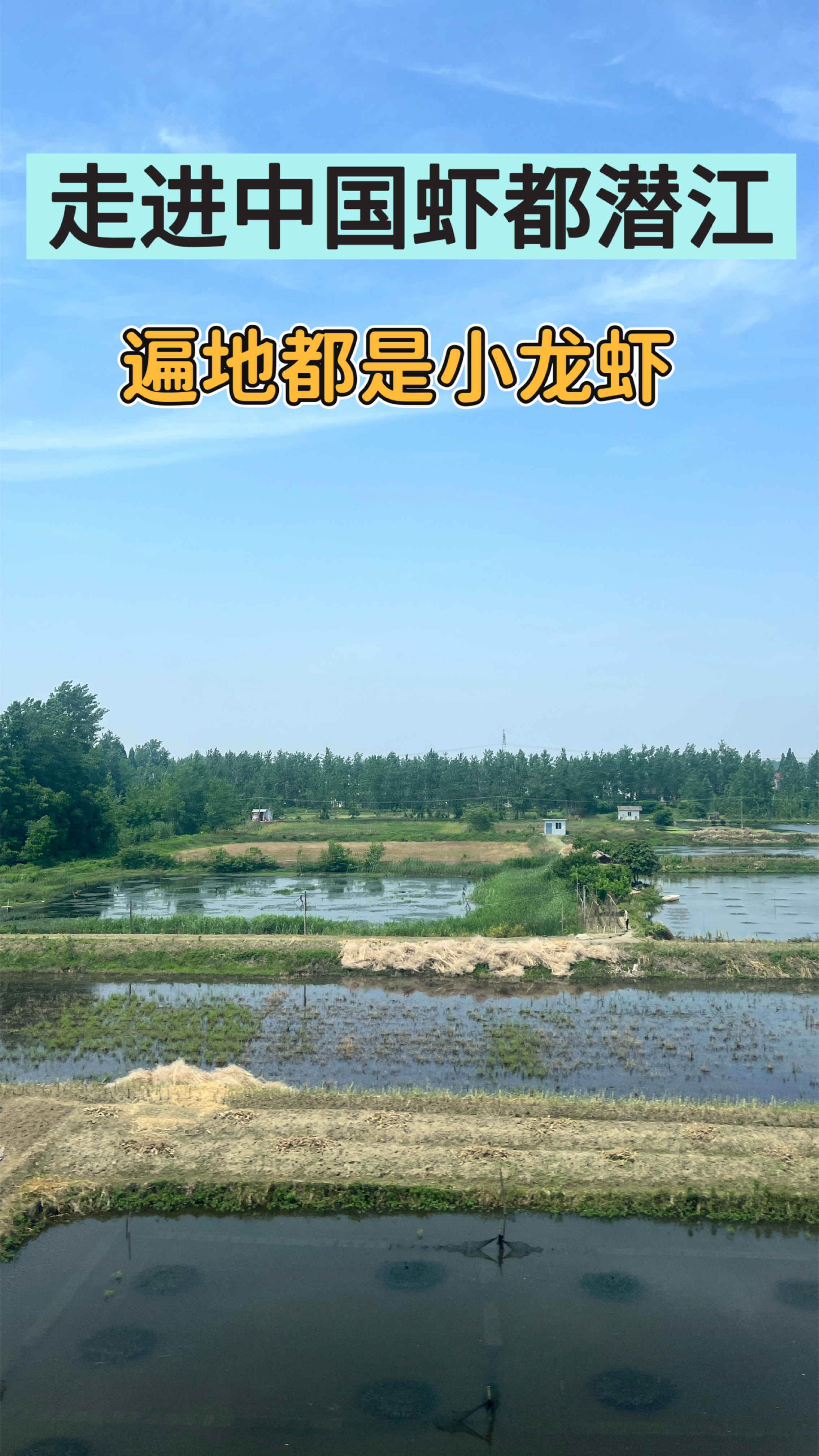走进中国虾都潜江,遍地都是小龙虾