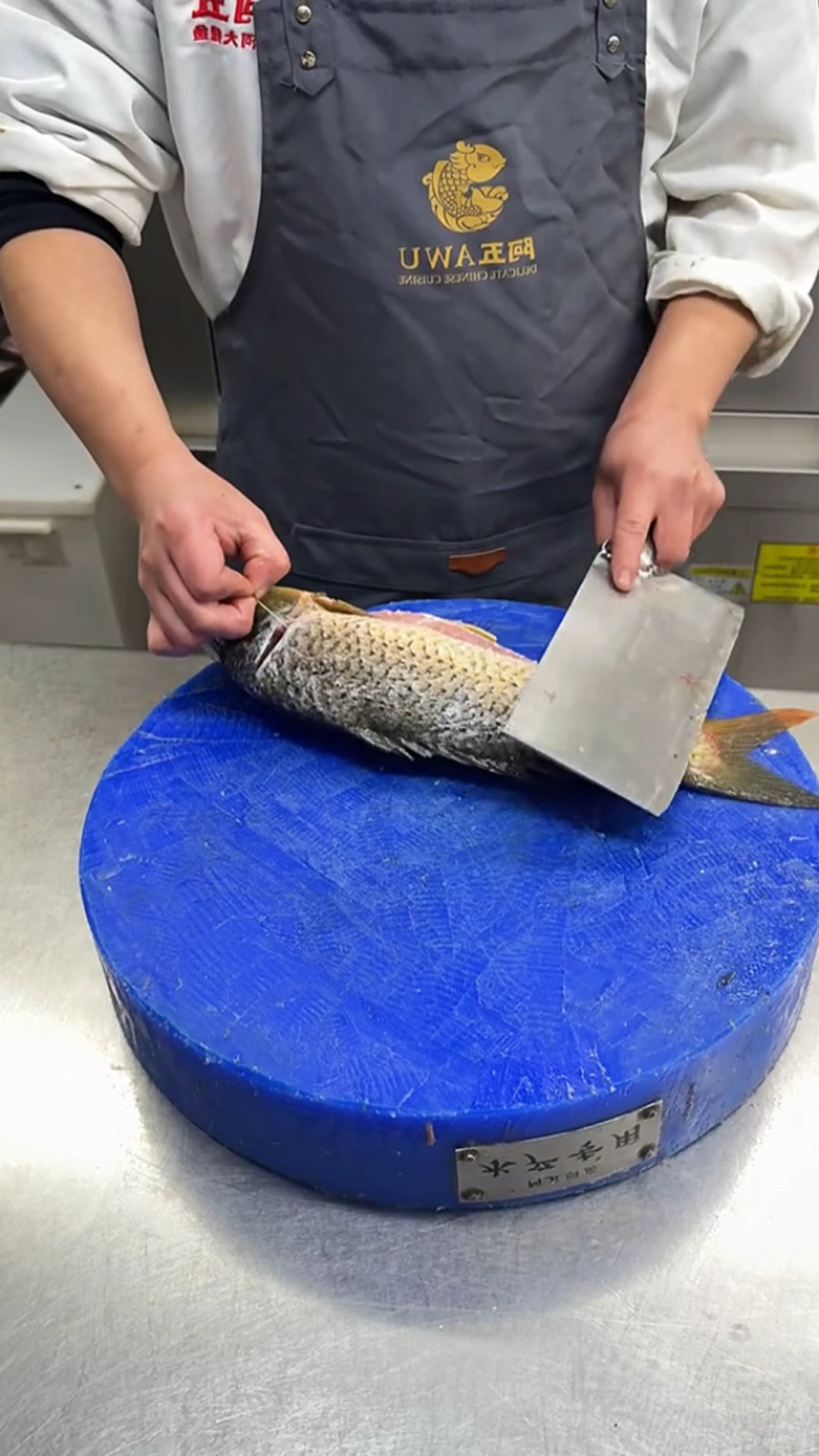 快速处理鲤鱼的方法