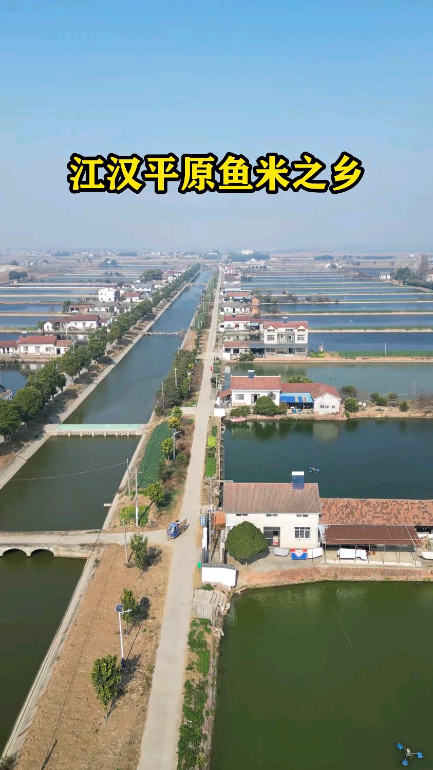 湖北江汉平原鱼米之乡,现实版的梦里水乡,是你们想要的生活吗?
