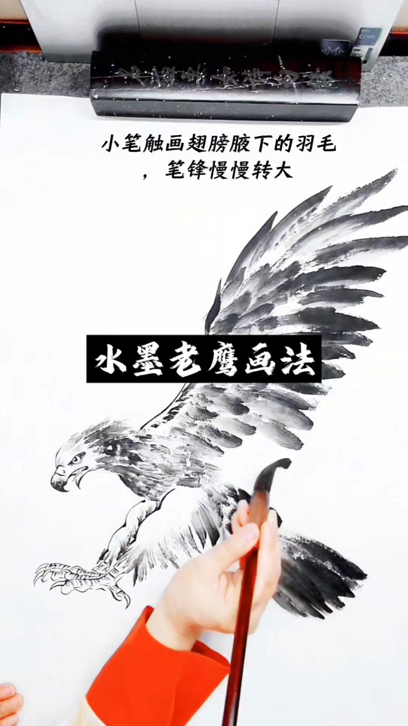 一分钟教你画水墨老鹰