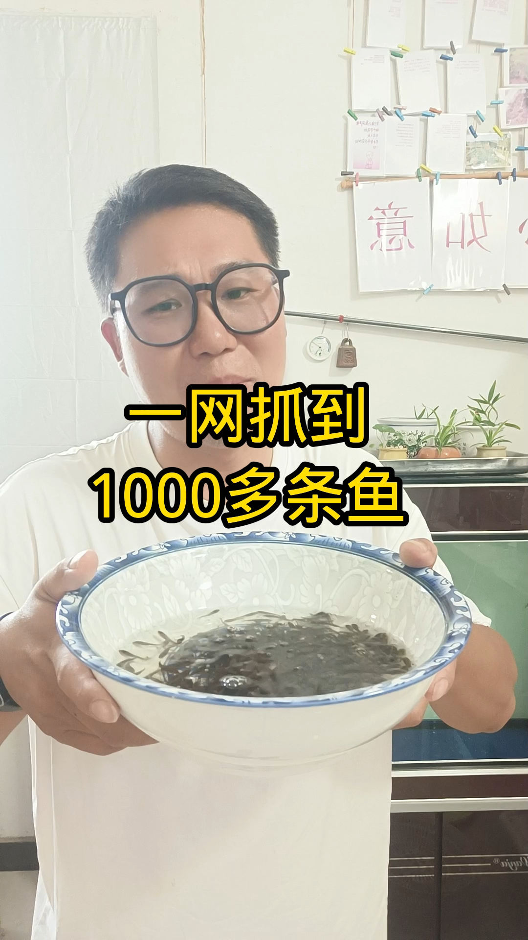 自家鱼塘里发现一窝小黑鱼