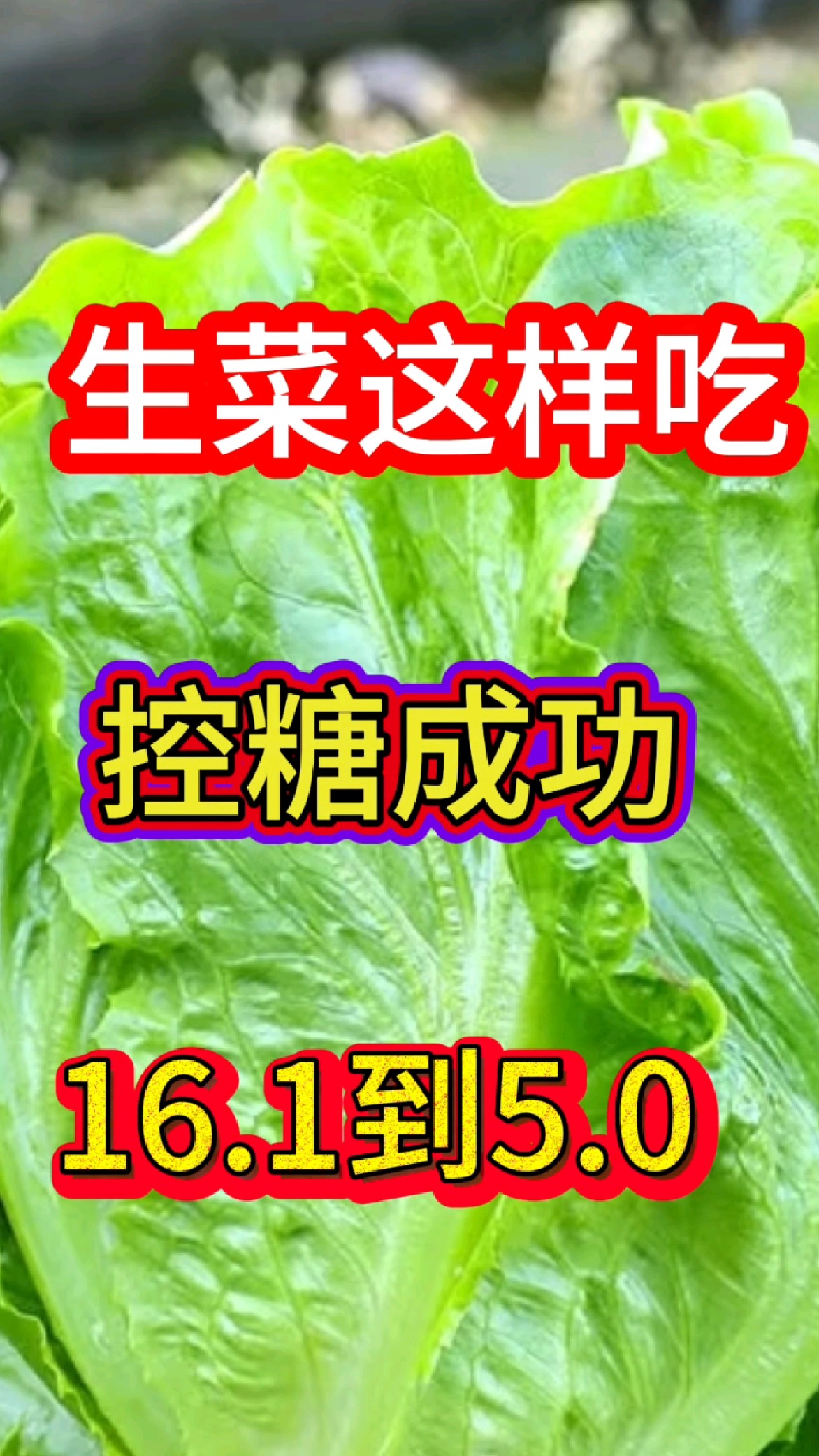 解锁生菜新吃法，助您控糖成功