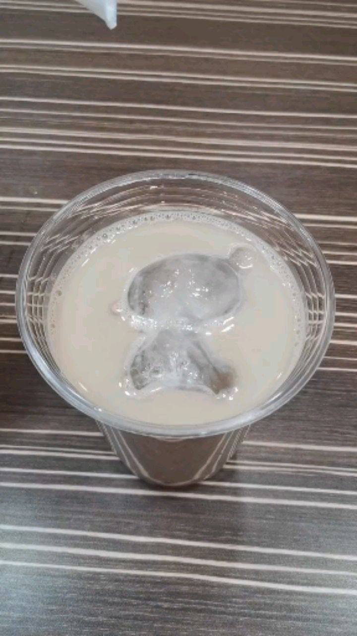 小熊喝奶茶 今天你喝了吗?