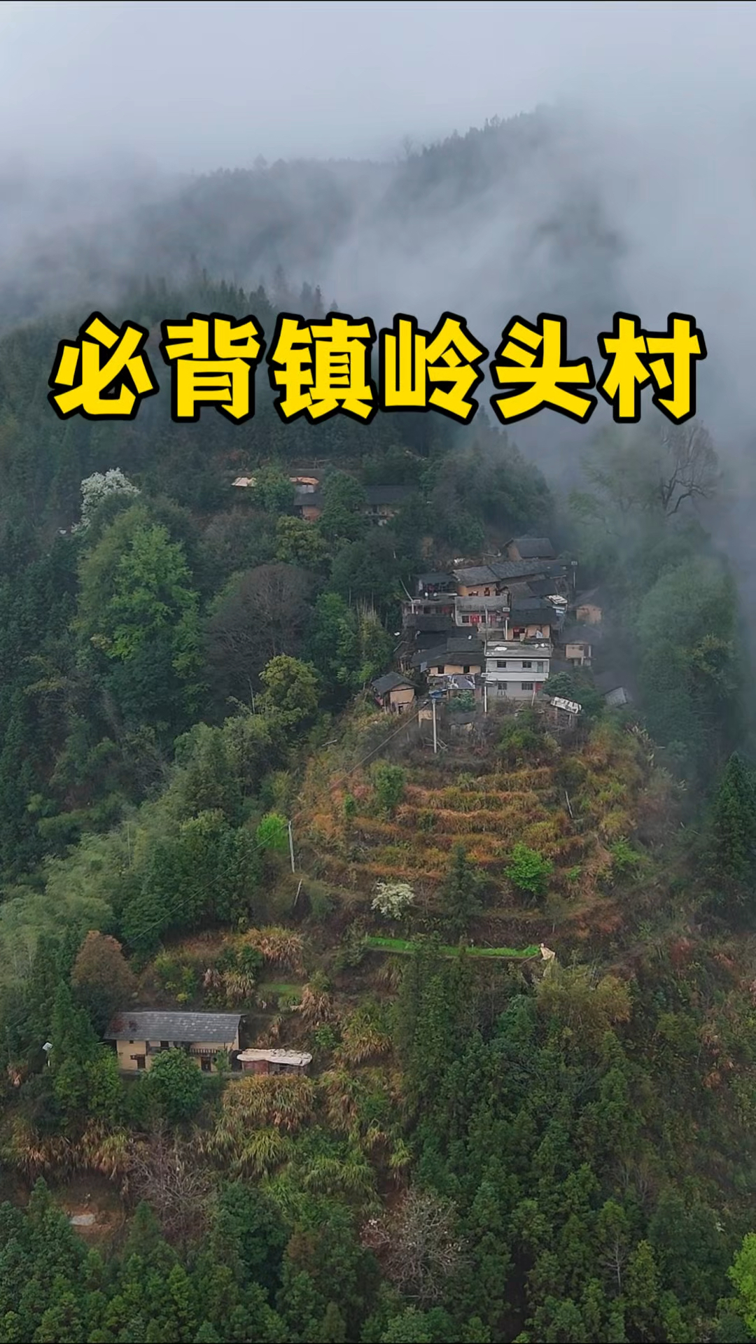 广东粤北的大山凹里,隐藏着一个古村落,岭头村,位于广东省韶关