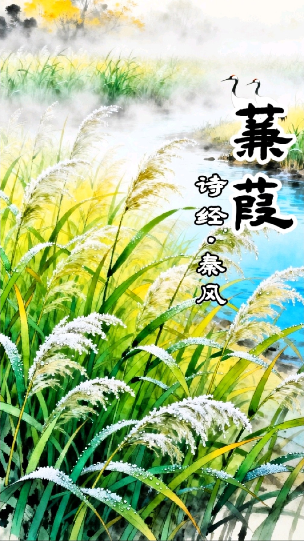 #蒹葭苍苍#诗词#美图#插图#文学#诗经