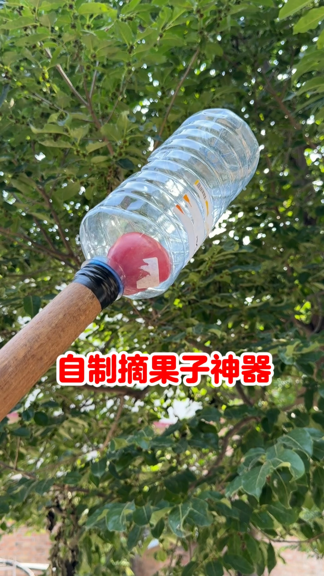 自制摘果子神器,邻居见了都抢着用