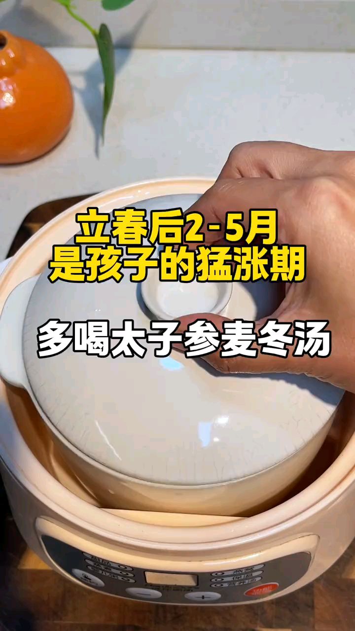 太子参麦冬瘦肉汤:春季是孩子的猛涨期,别忘给孩子补充汤水