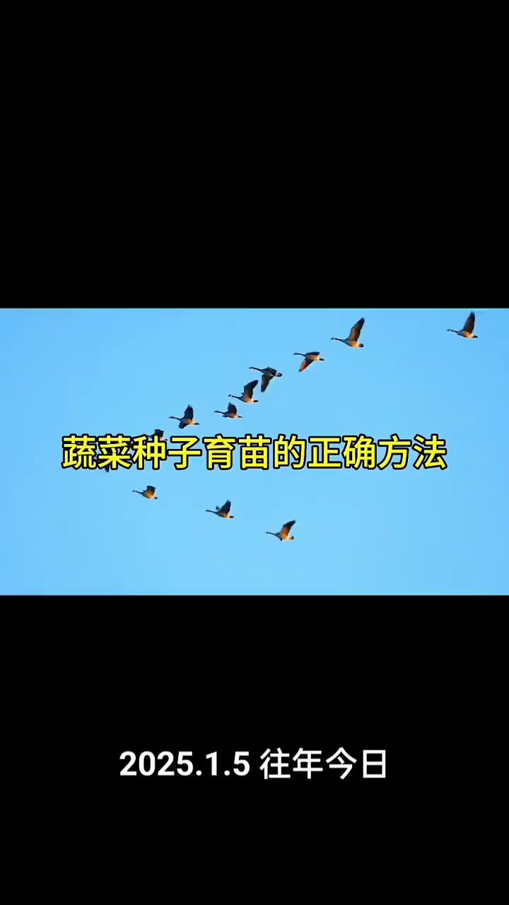 蔬菜育苗的正确方法