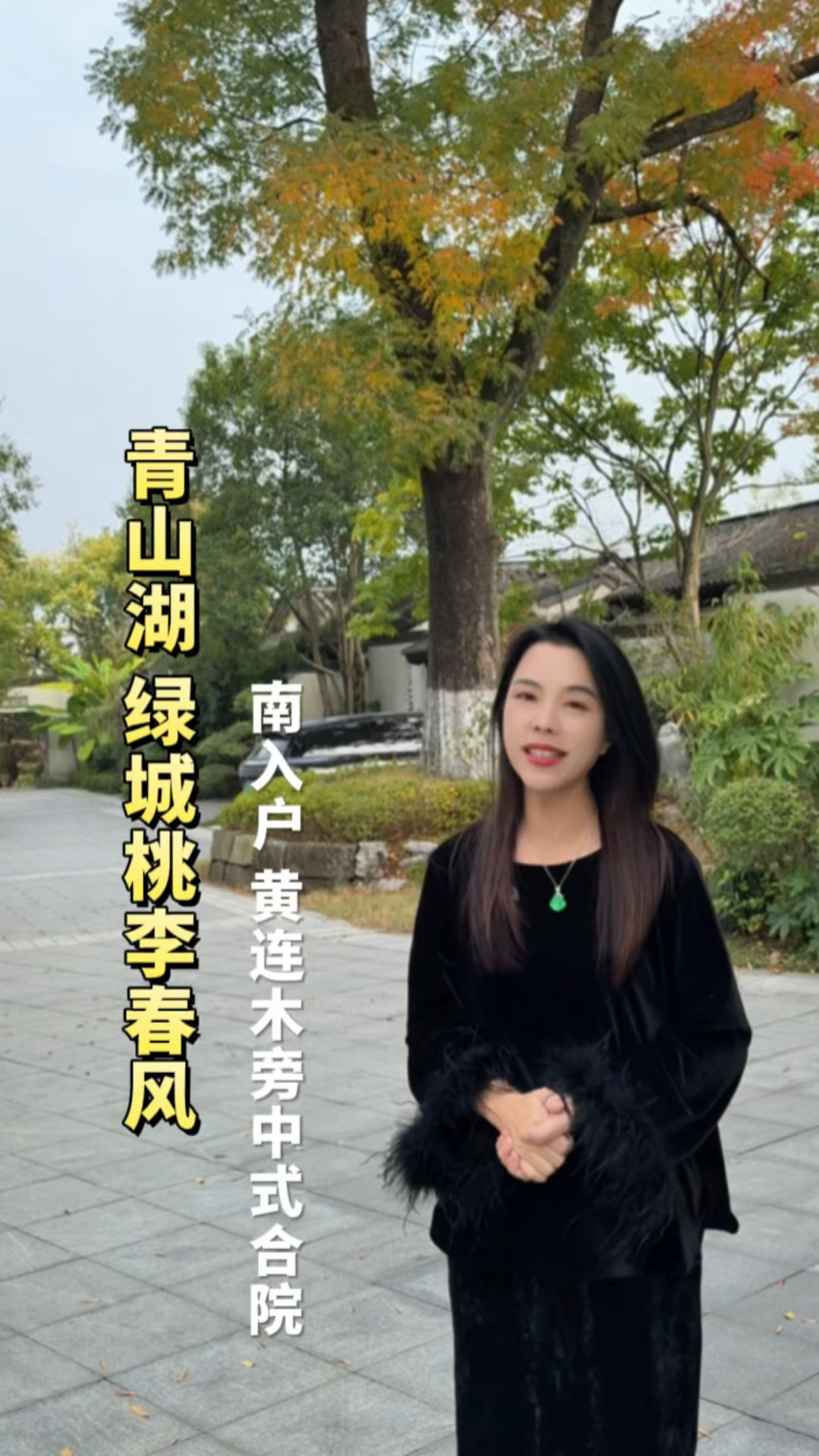 青山湖|桃李春风,百年“网红树”黄连木旁精装三房中式合院