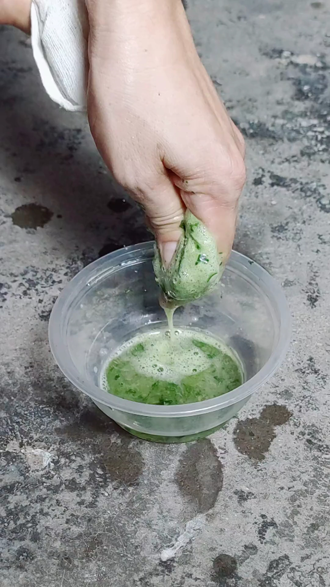 犁头草又叫叶堇菜、玉如意、紫花地丁，你的家乡还有嘛？