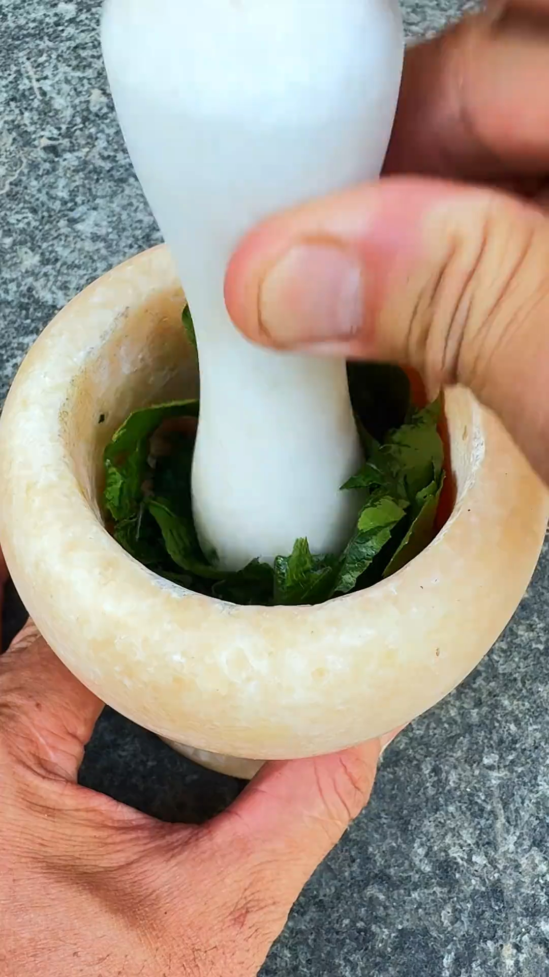 白花臭草,又叫藿香蓟,鲫鱼草,你那还有吗?