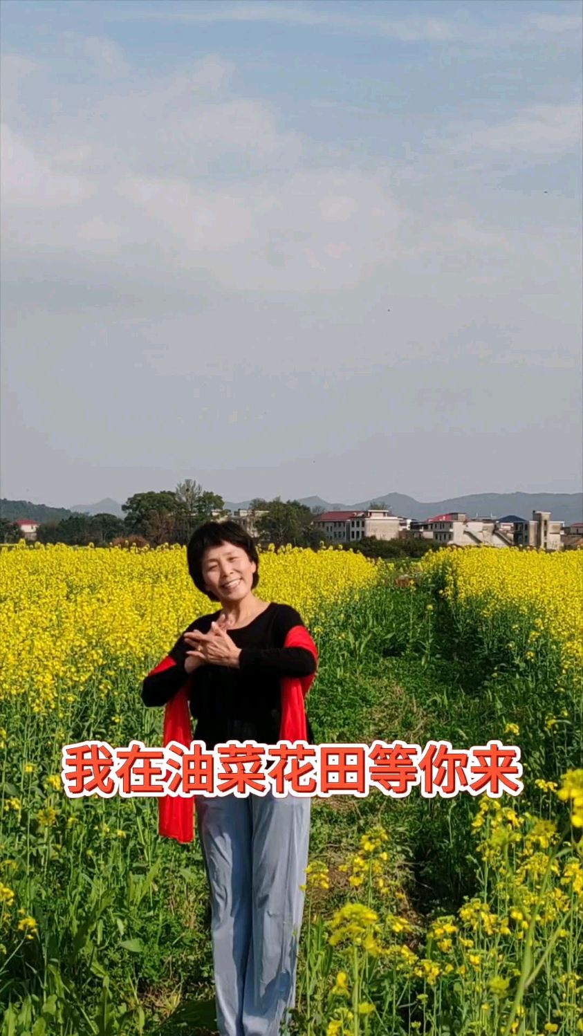 我在油菜花田等你