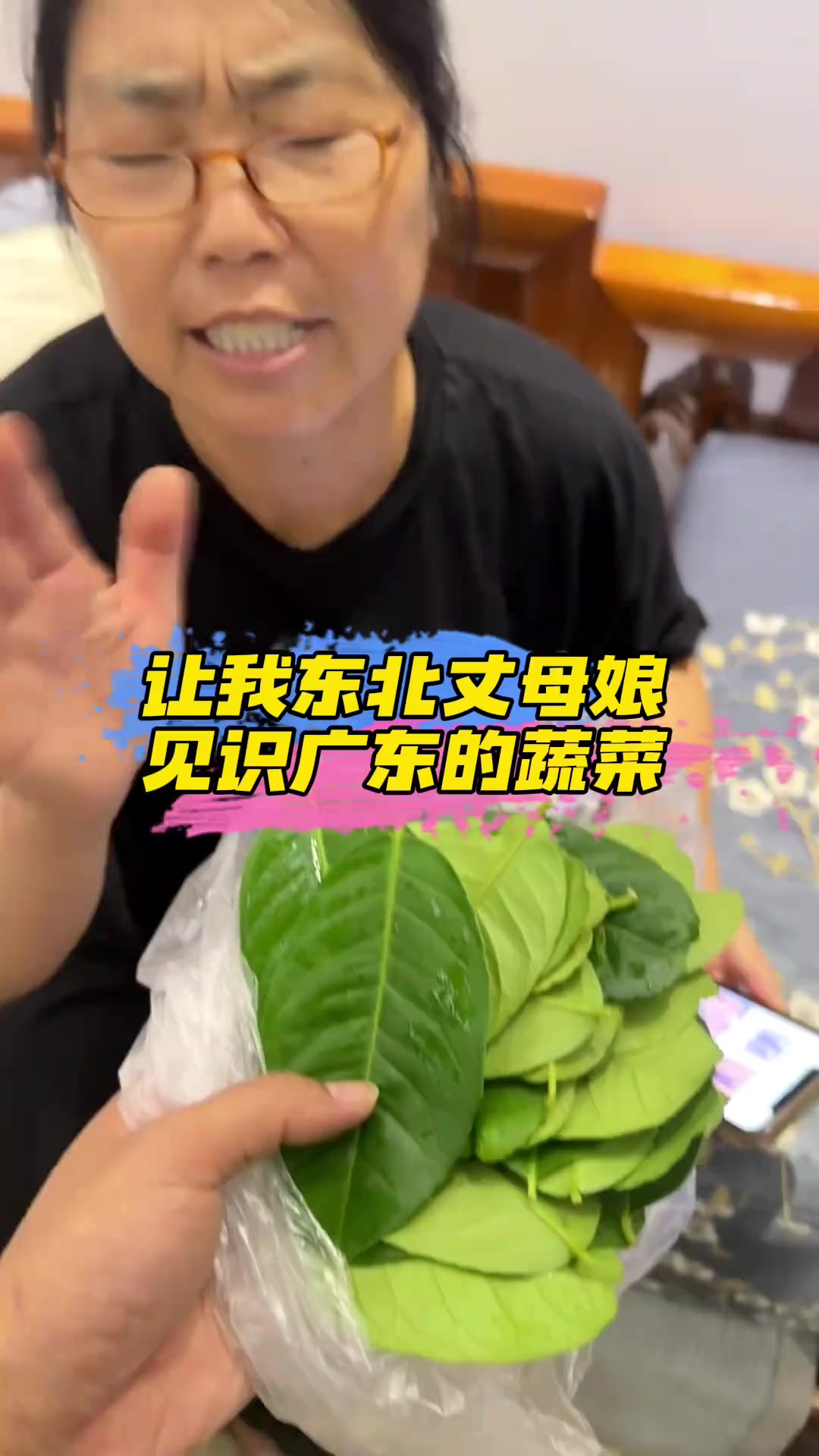 广东的青菜，有多离谱
