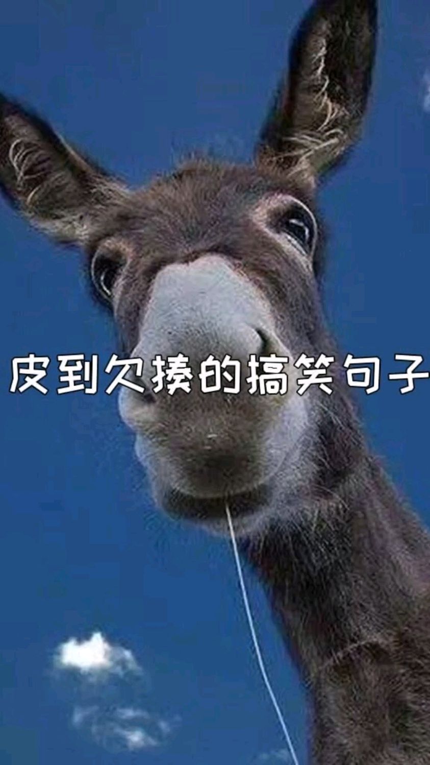 可爱又皮的搞笑句子