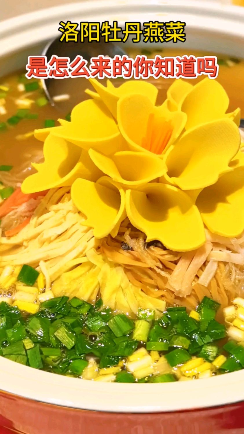 洛阳王炸级牡丹燕菜的来历你知道吗?吃水席还吃出了文化气息