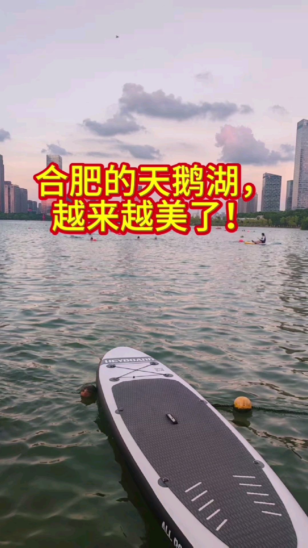 合肥的天鹅湖，越来越美了