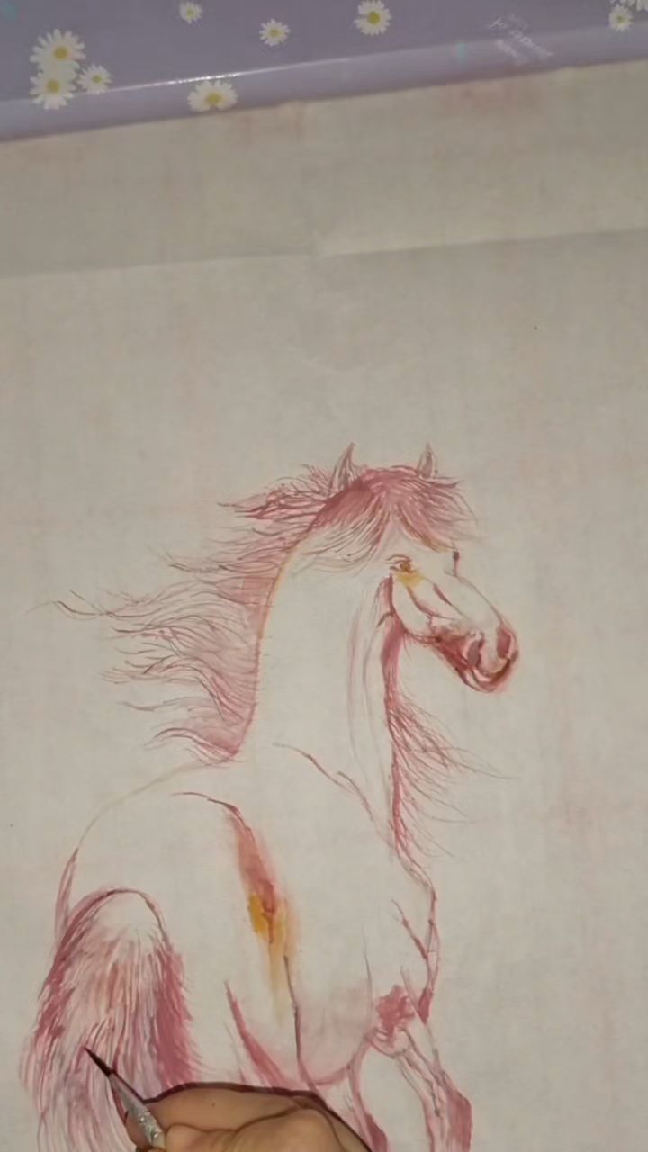 国画工笔画 勾画马