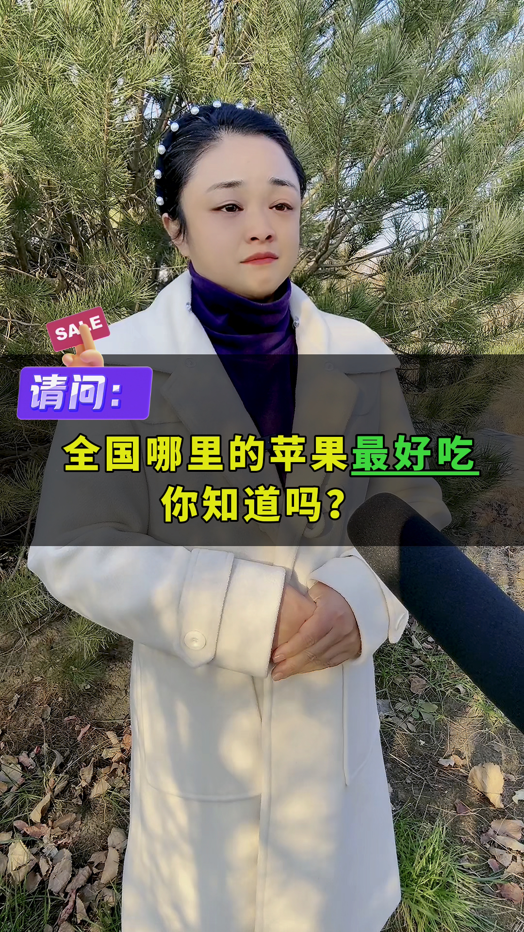 全国哪里的苹果最好吃，你知道吗？
