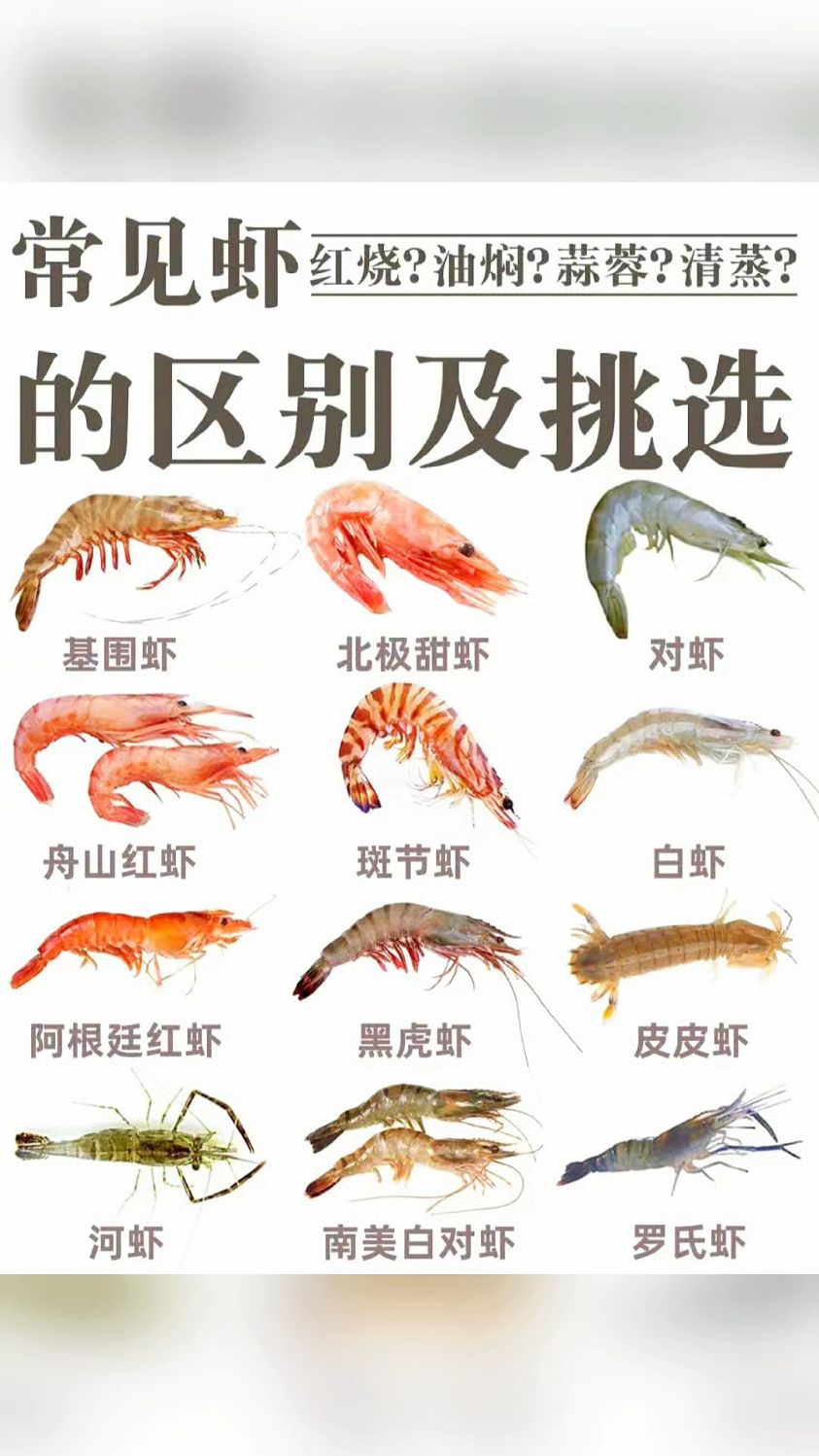 白虾对虾基围虾傻傻分不清楚都来看看