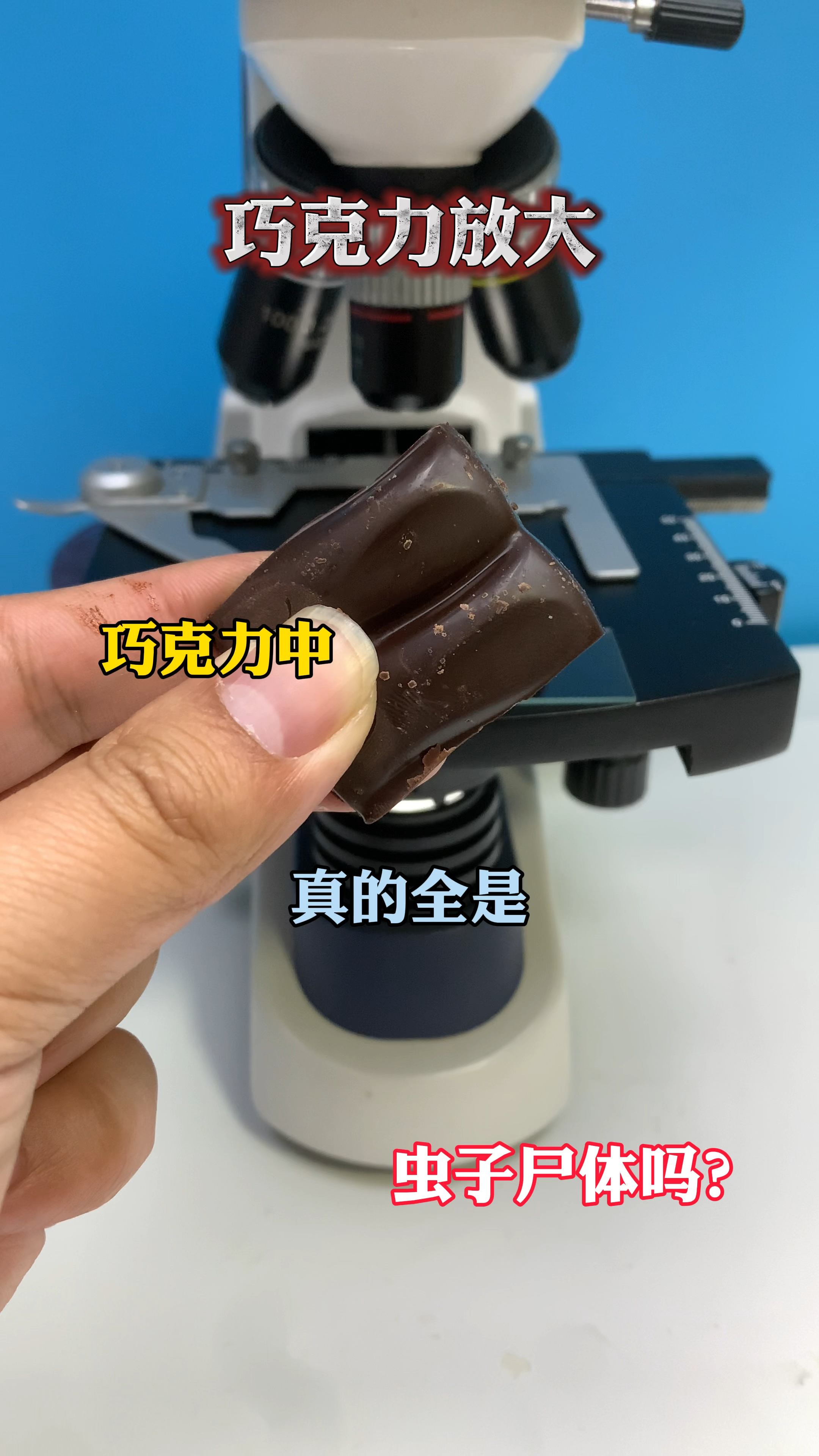 巧克力里面有虫子?这是真的吗?