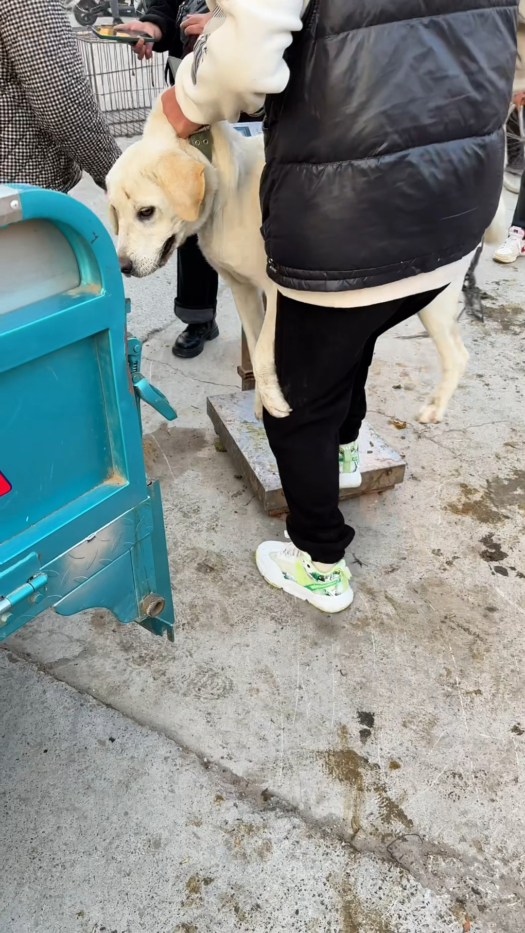 主人抵挡不住金钱诱惑，狠心把爱狗论斤卖肉车，狗趴试图唤醒主人