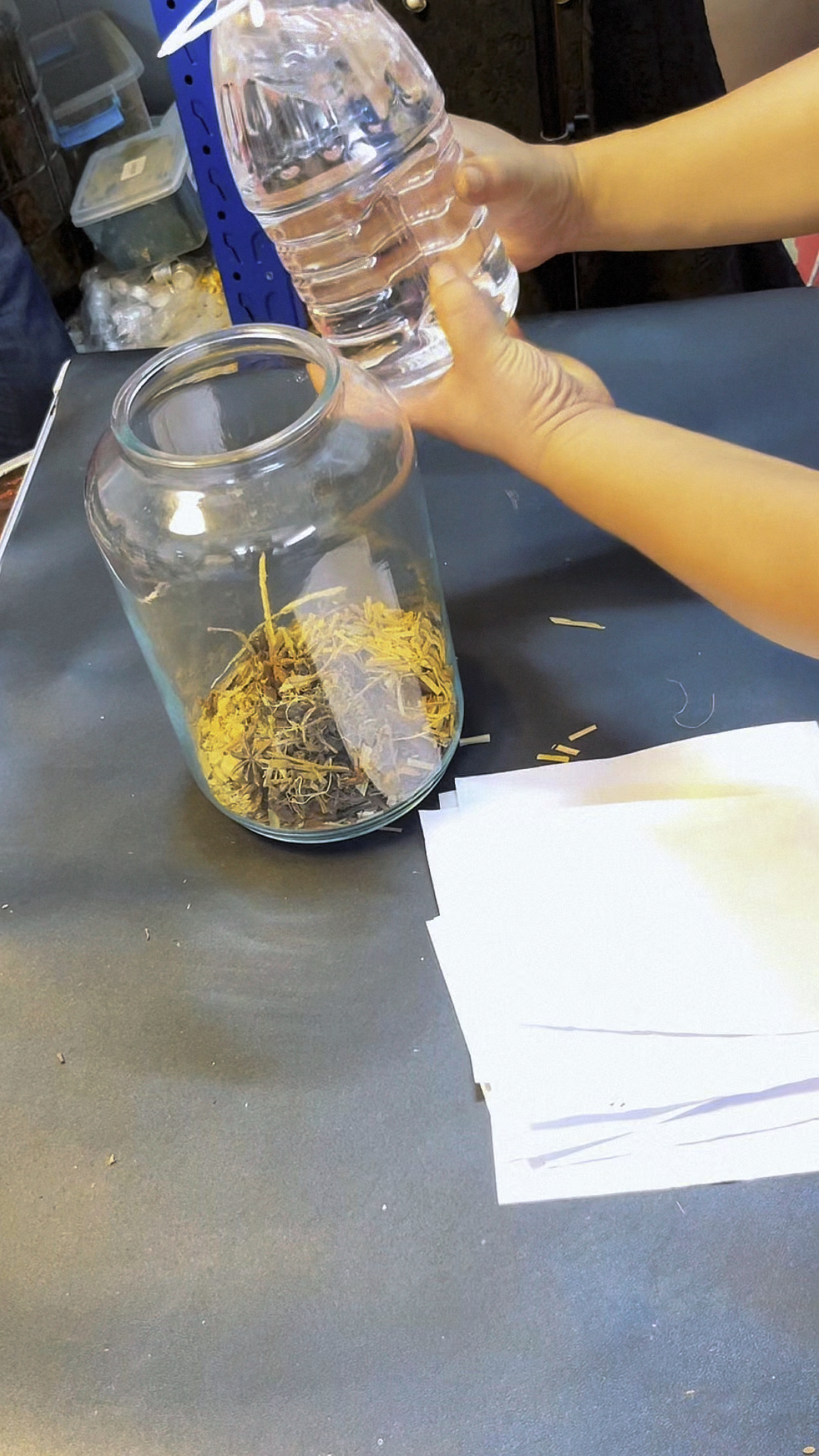 教你在家真材实料的泡制鲫鱼鲤鱼草鱼青鱼鳊鱼通用型的钓鱼中药酒