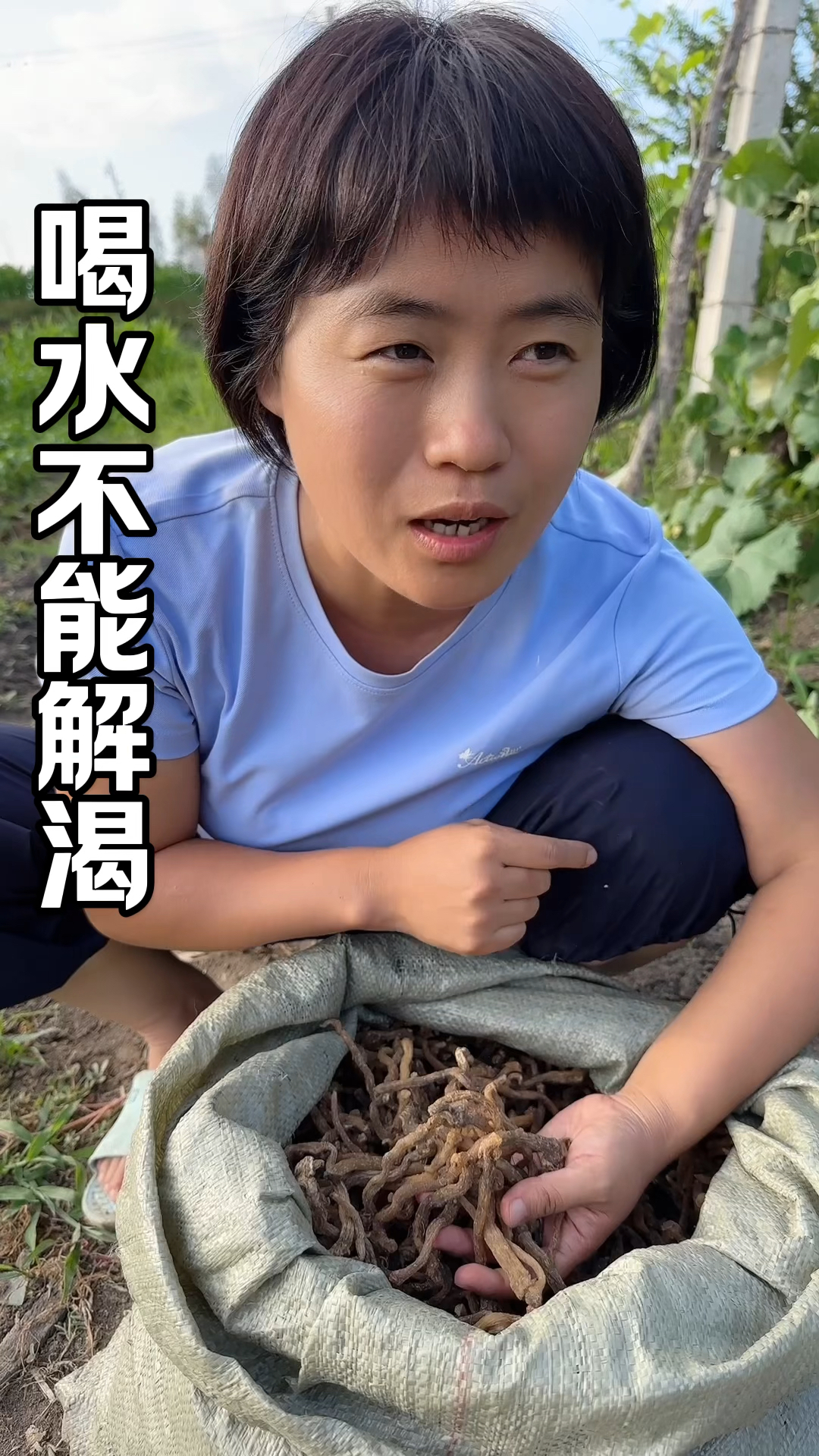 东北的野生玉竹你需要吗