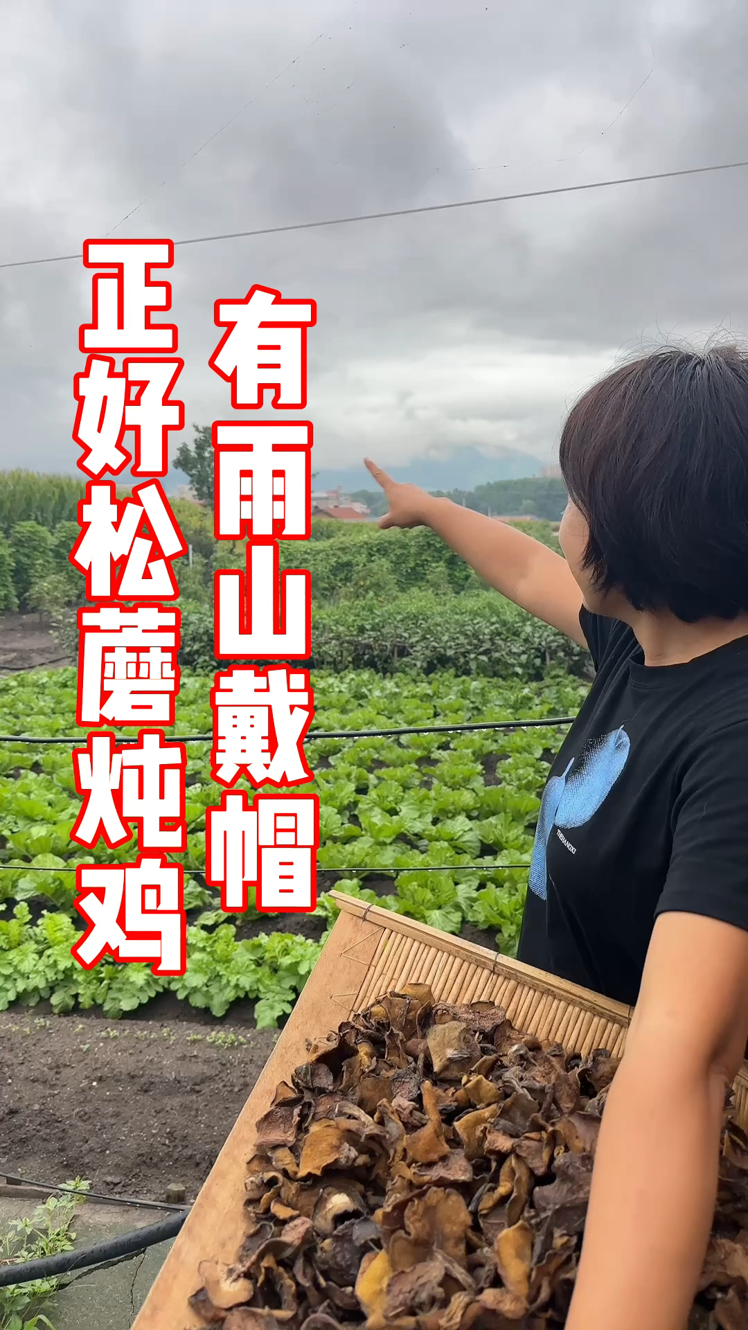 老乡们有雨山戴帽,这样的阴雨天咱们在家来个松蘑炖鸡咋样