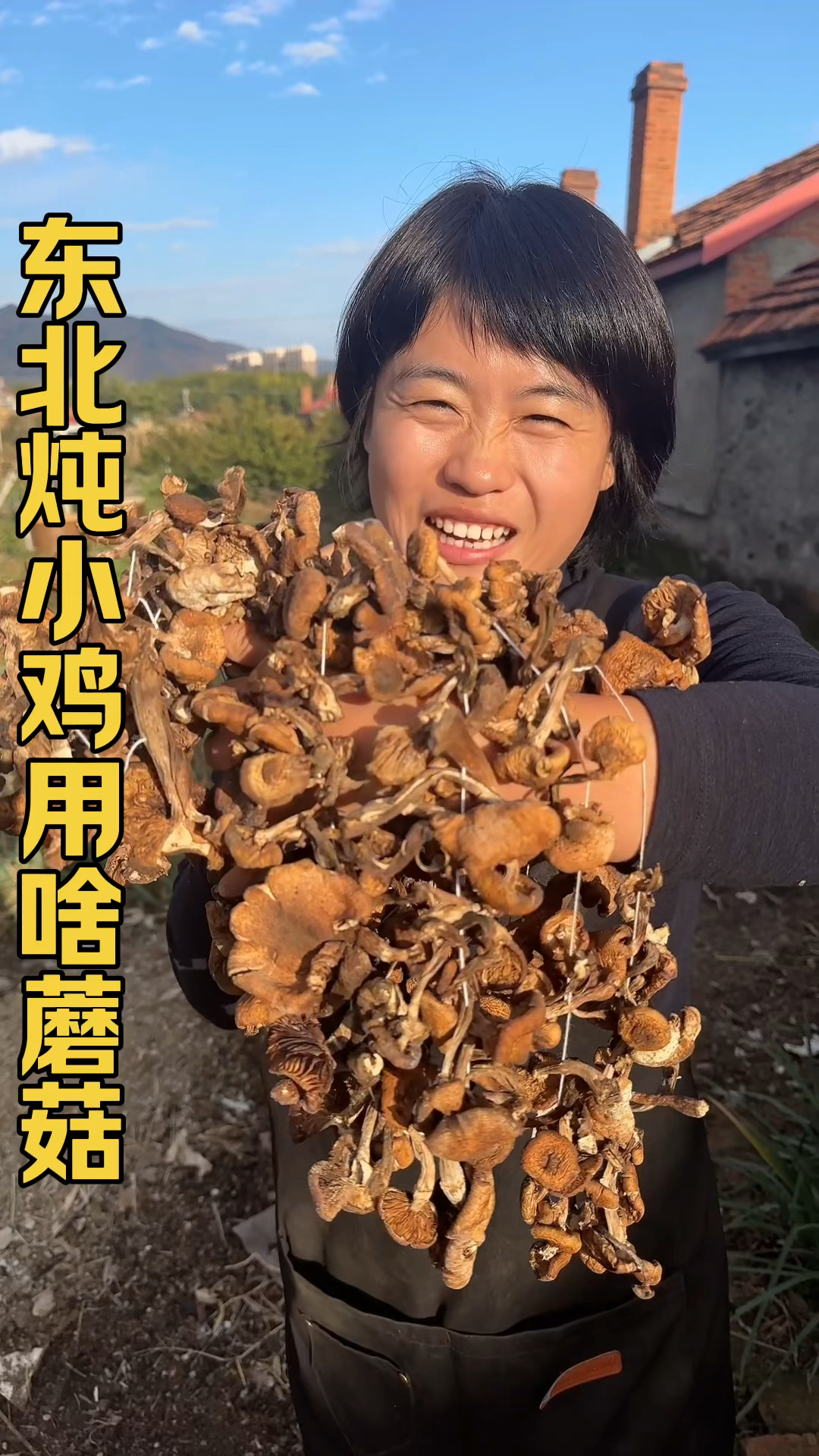 东北口味的小鸡炖蘑菇用的就是这个野生榛蘑