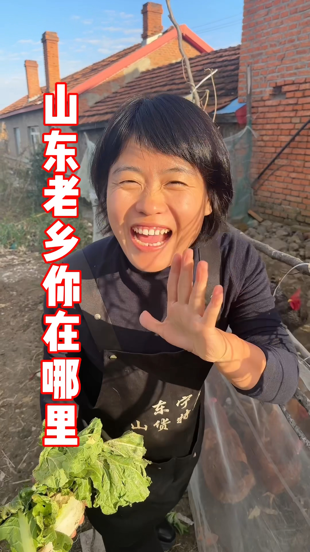 山东的老乡你们在哪,到吃小鸡炖蘑菇的时候了,咱家松蘑准备好了