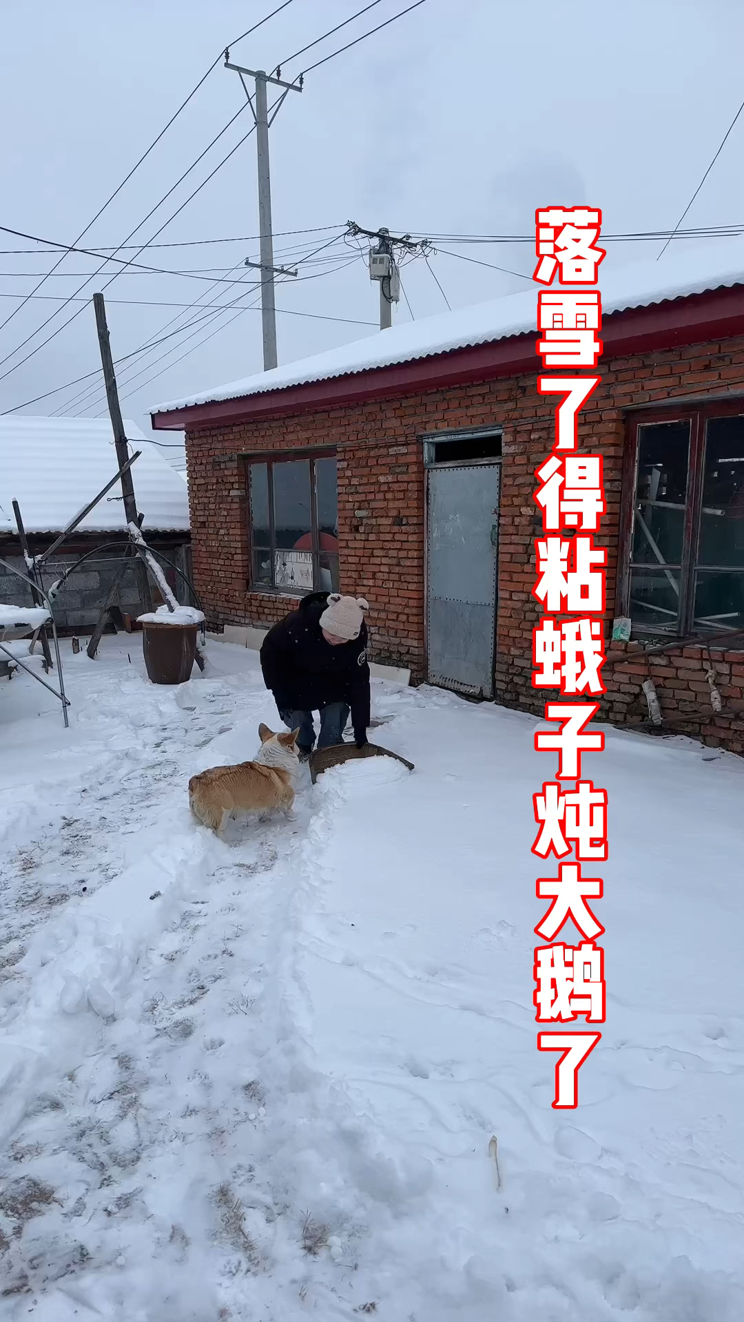 落雪了炖大鹅得用咱们的粘蛾子松蘑粘团子