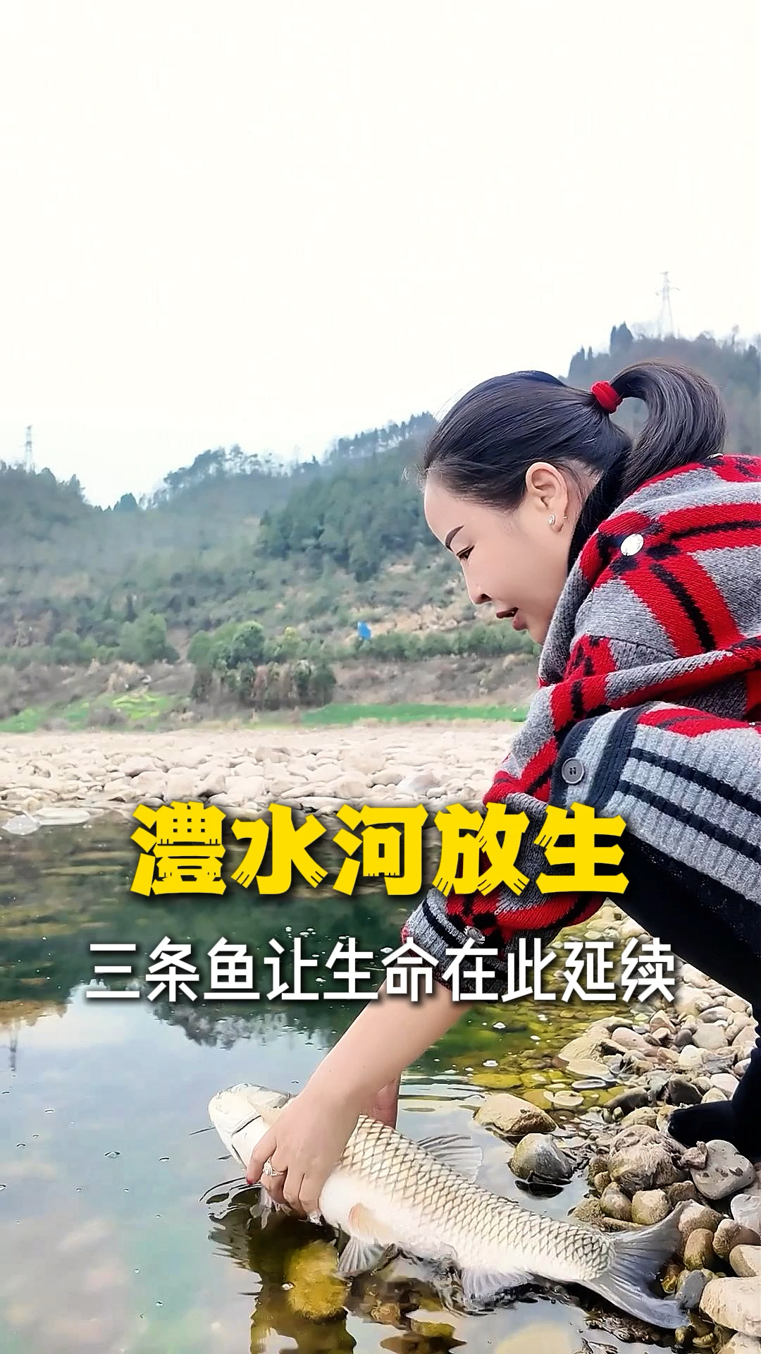 澧水河放生,三条鱼让生命在此延续