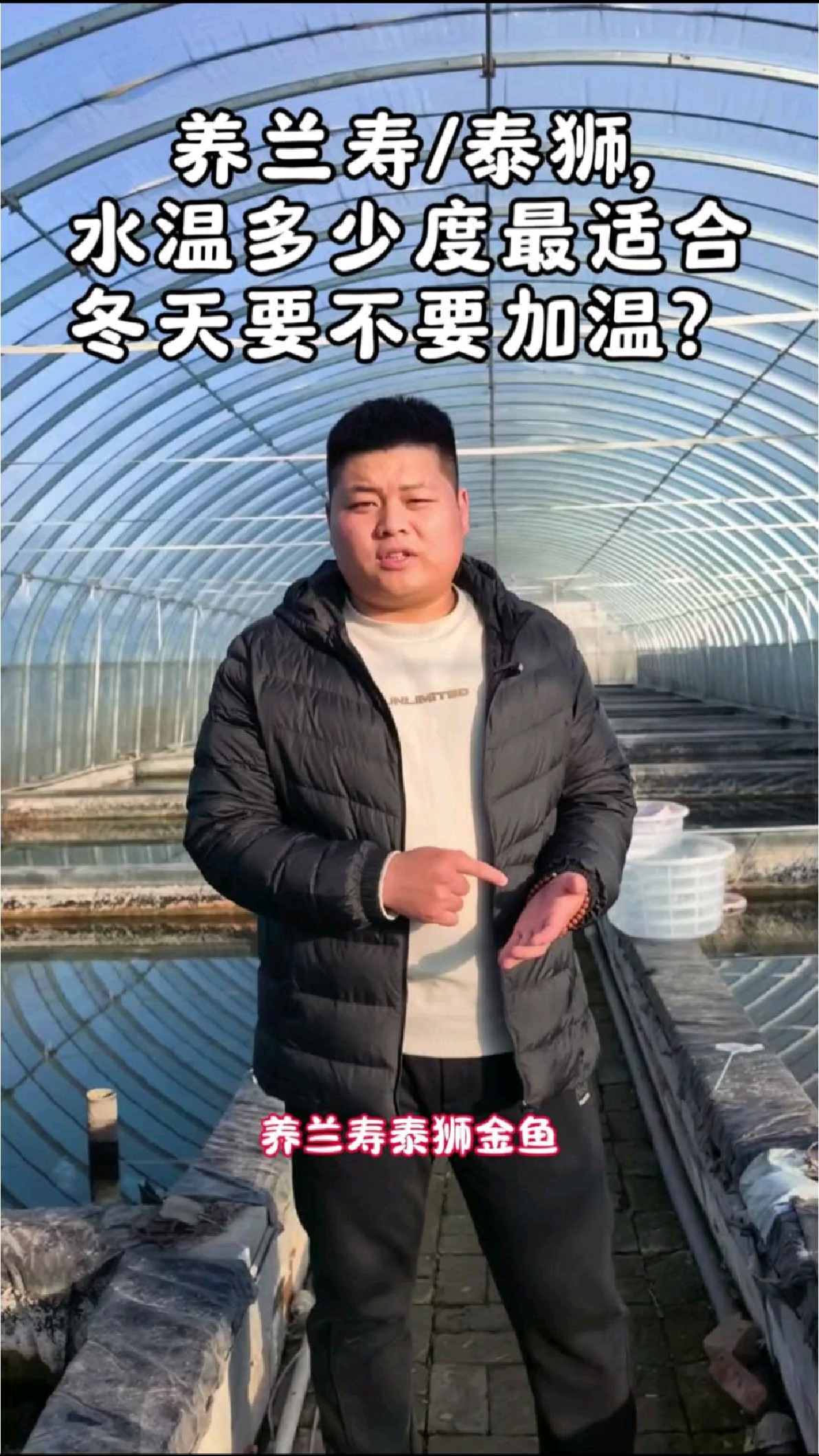 兰寿泰狮最适宜温度是20-28度