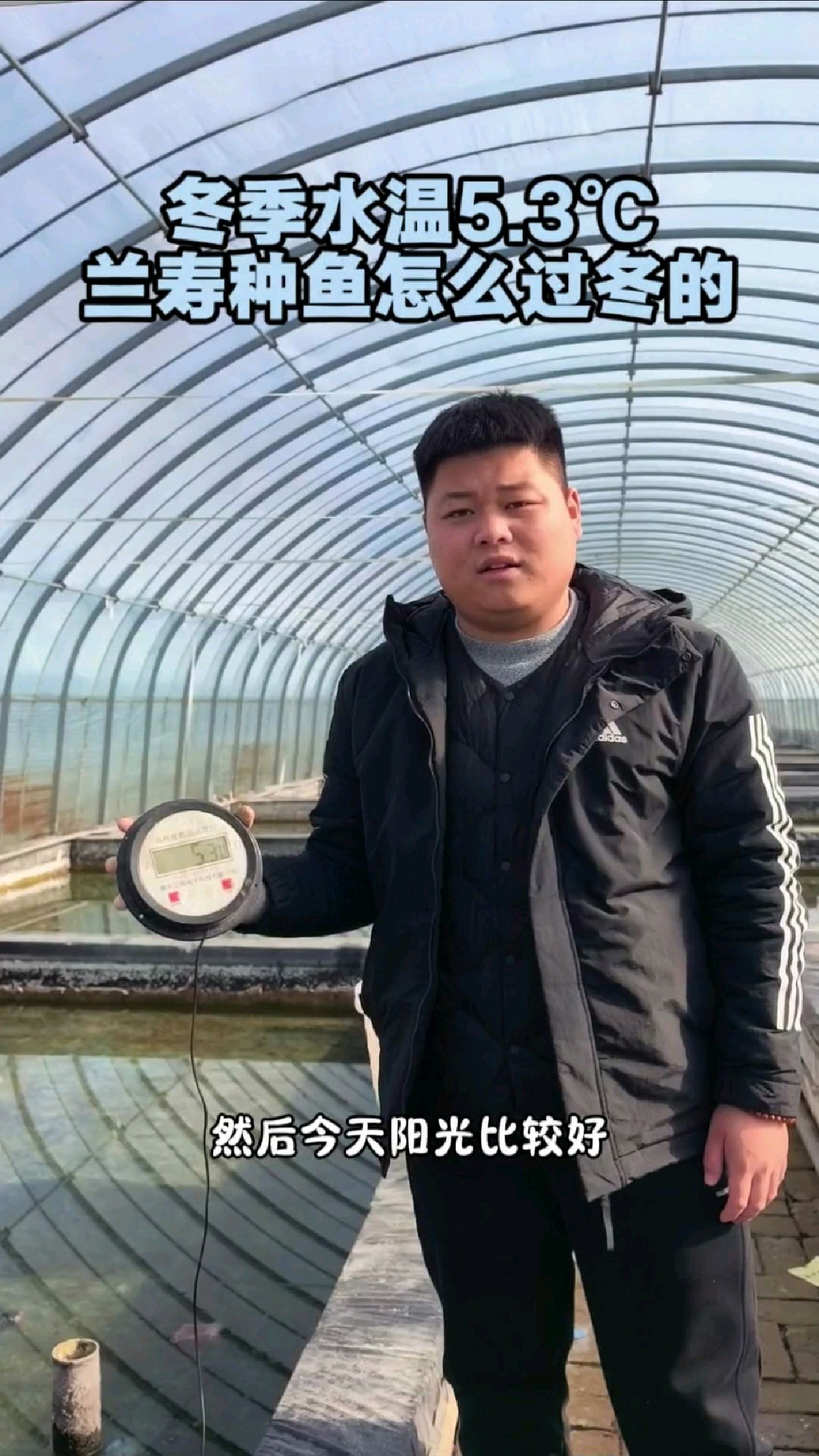 冬天水温5兰寿种鱼状态如何!