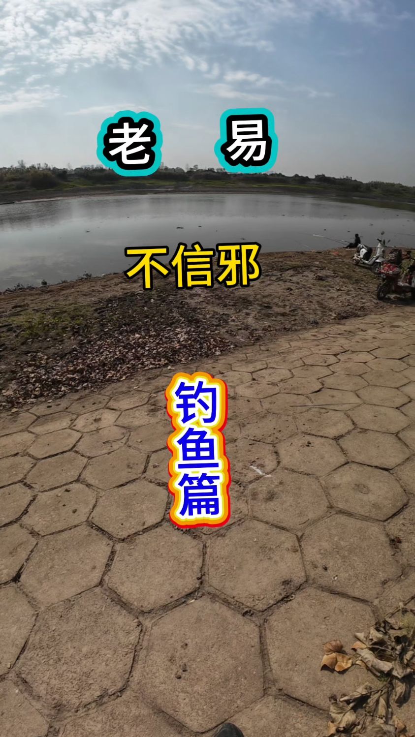 家门口小河沟野钓柳叶鳊