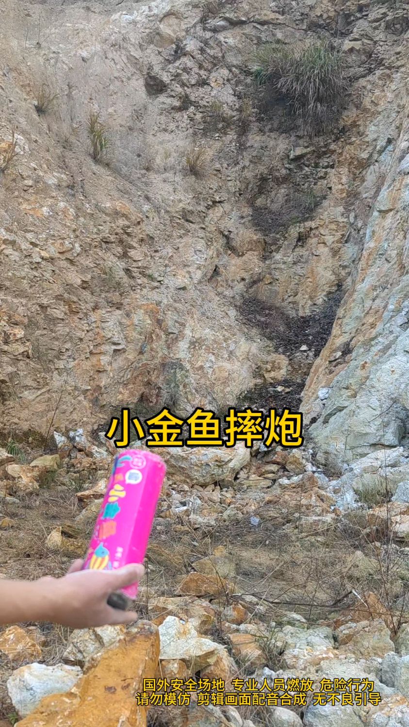 小时候的小金鱼摔炮