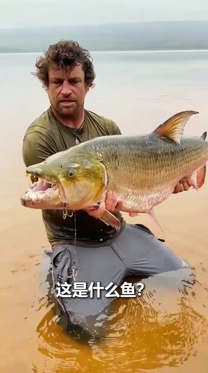 分享不同鱼，看看你不认识哪种？