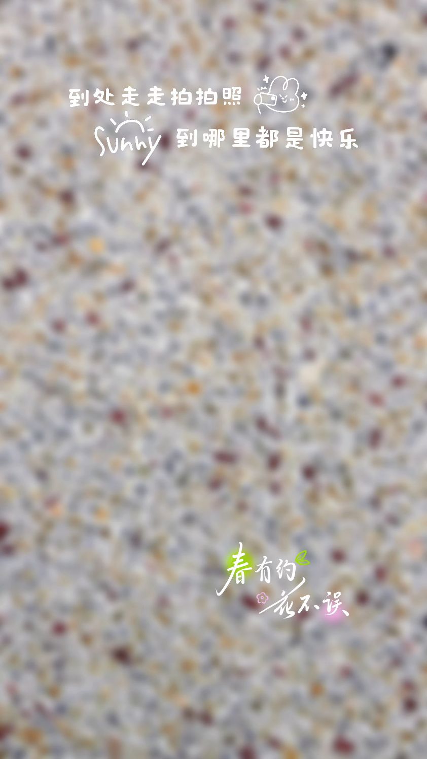 上海水洗石水刷石洗米石鹅卵石墙面建筑美学