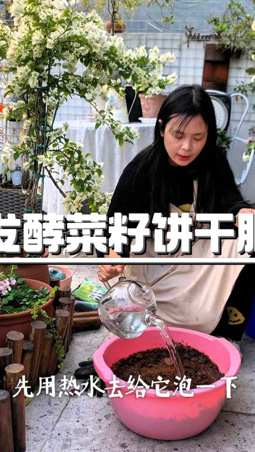 花了22块做了一大桶菜籽饼干肥，还是自己动手最省钱！