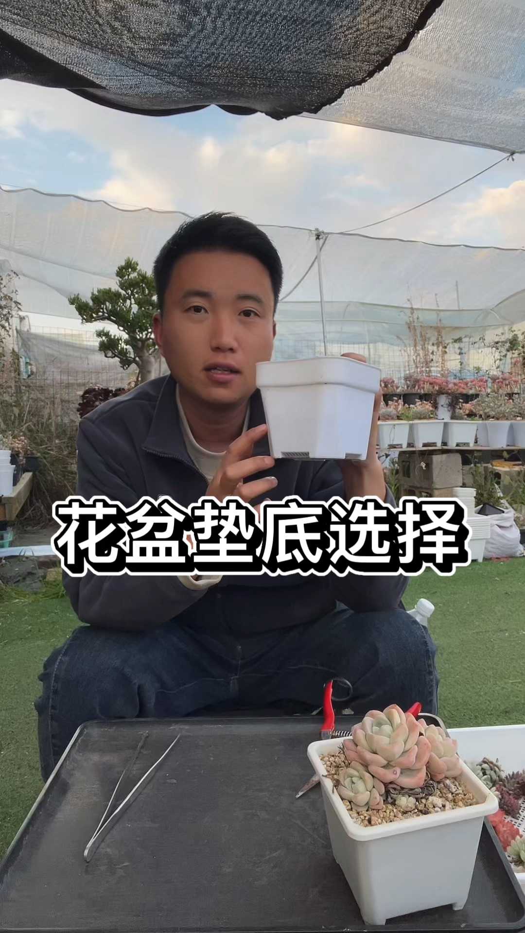 多肉花盆垫底选择和用量