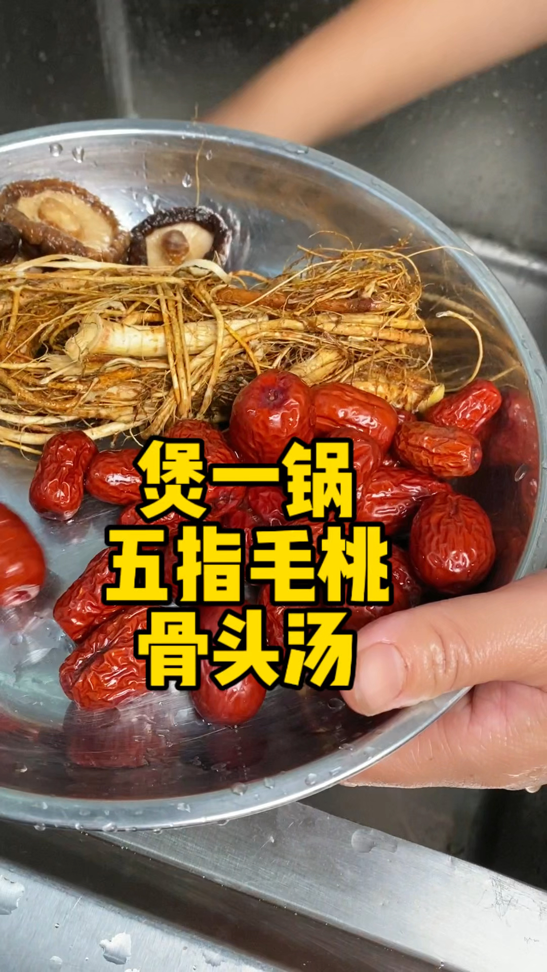 今天煲一锅纯野生五指毛桃汤,野味十足