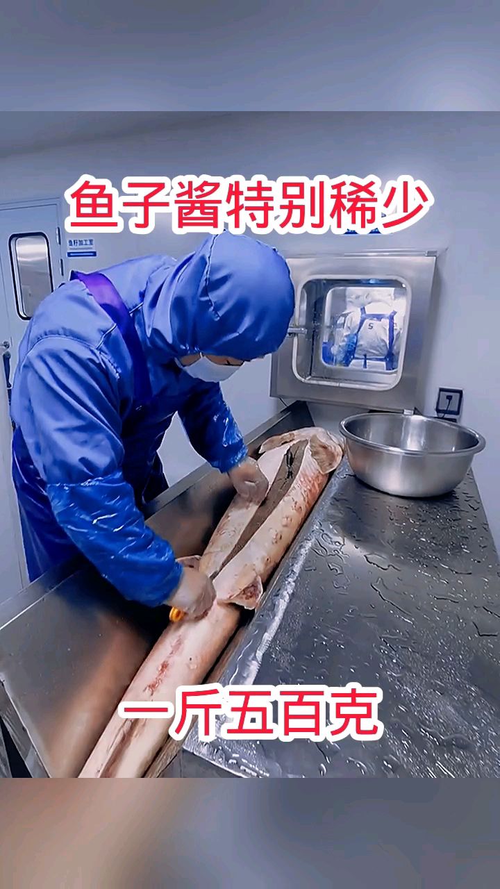 鱼子酱特别稀少,一斤五百克!