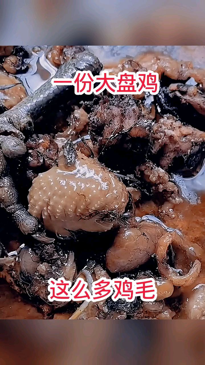 一份大盘鸡，这么多鸡毛！