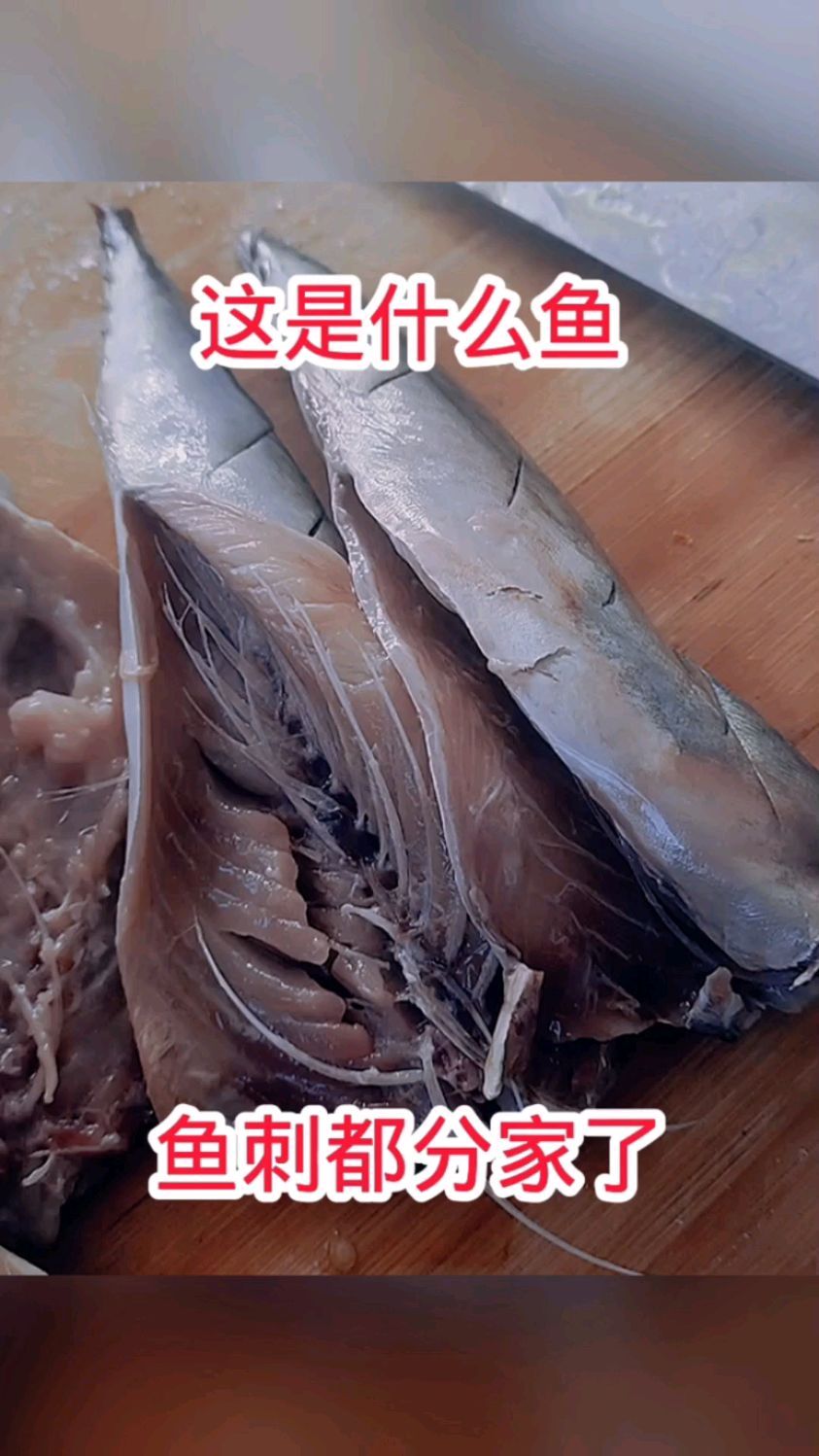这是什么鱼,鱼刺都分家了!